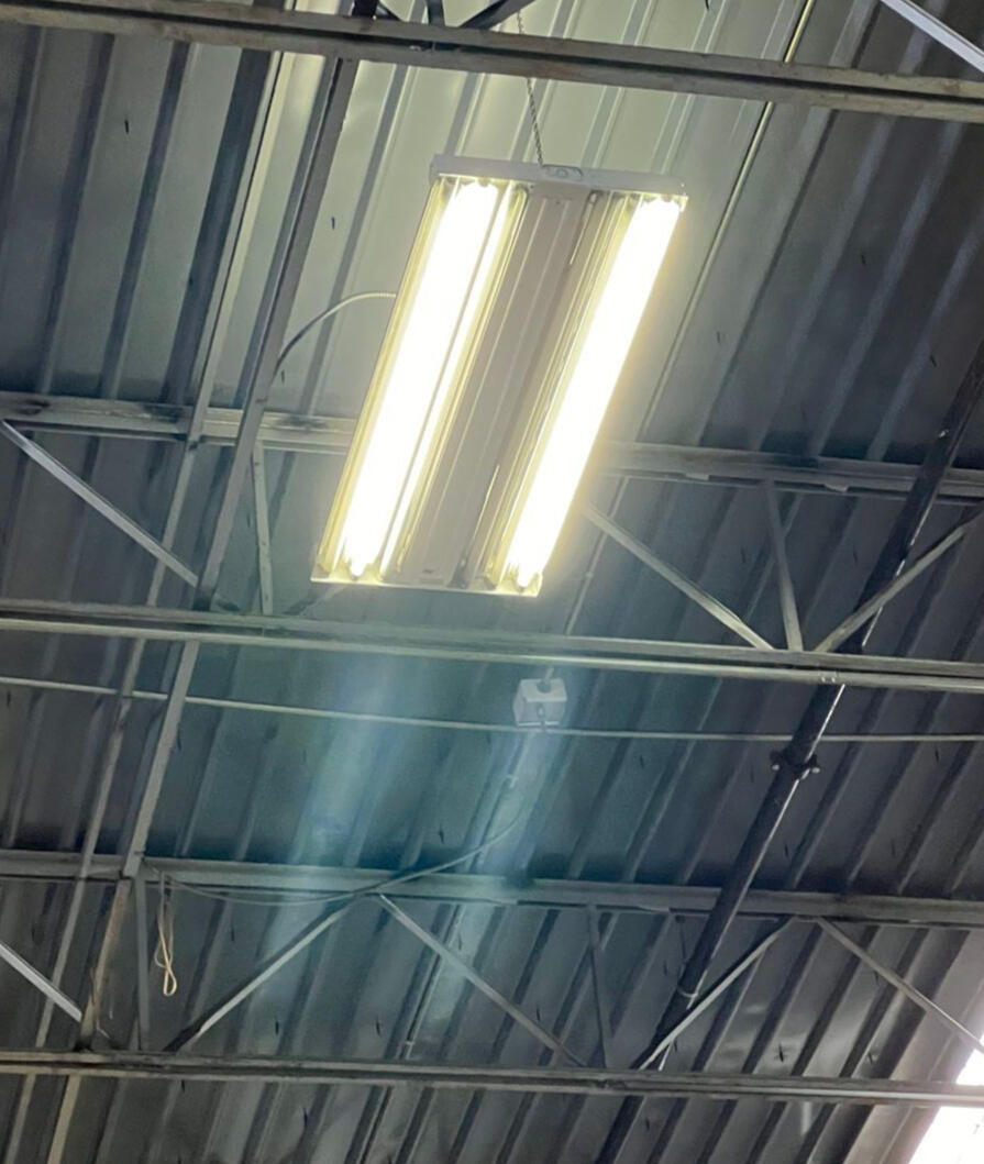 Burnt Out T5 Fluorescent Tube